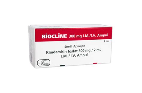 Biocline 300 Mg 1 Ampul