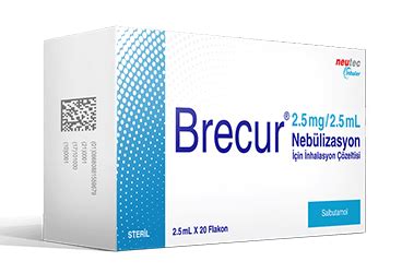 Brecur 2,5 Mg 2,5 Ml Nebulizasyon Icin Inhalasyon Cozeltisi (20 Flakon )