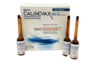Calgevax-bcg 11,25 Mg Intravezikal Enjeksiyon Icin Liyofilize Toz Iceren 10 Ampul