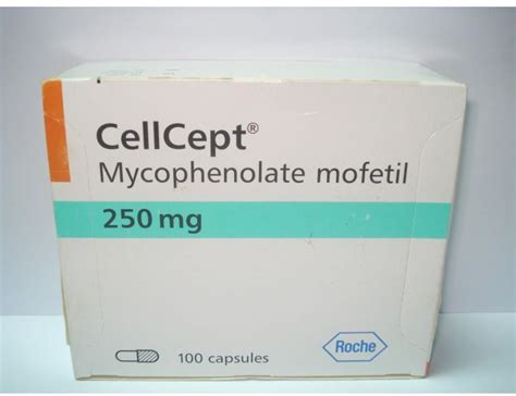 Cellcept Roche 250 Mg 100 Kapsul
