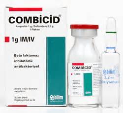Combicid Im-iv 1000 Mg 1 Flakon