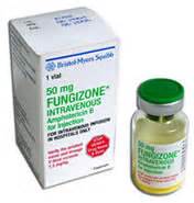 Fungizone Iv 50 Mg 1 Flakon