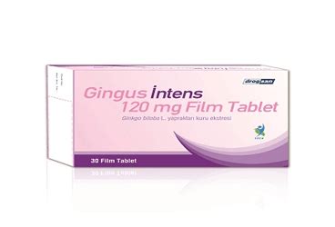 Gingus Intens 120 Mg 30 Film Tablet Fiyatı