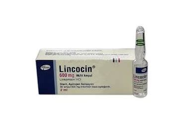 Lincocin 600 Mg/2 Ml Im/iv Enjeksiyonluk Cozelti (1 Ampul) Fiyatı