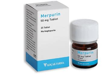 Merpurin 50 Mg 25 Tablet