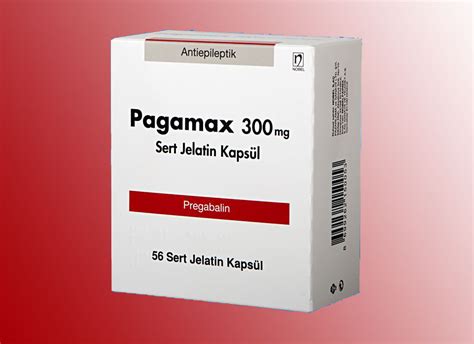 Pagamax 300 Mg 56 Sert Jelatin Kapsul
