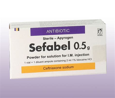 Pental Sodyum 0,5 G Enjeksiyonluk Cozelti Icin Toz (1 Flakon)