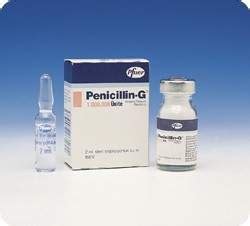Prokain Penicillin 400.000 Iu I.m. Enjeksiyonluk Toz (1 Flakon. 1 Ampul) Fiyatı