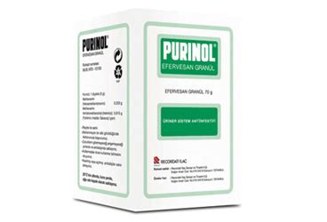 Purinol 250 Mg+ 615 Mg/5 G Efervesan Granul (70 G Sise) Fiyatı