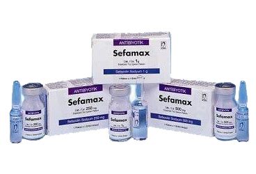 Sefamax Im 1000 Mg 1 Flakon Fiyatı